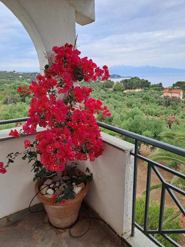 Villa Mariana Koroni  Exterior foto