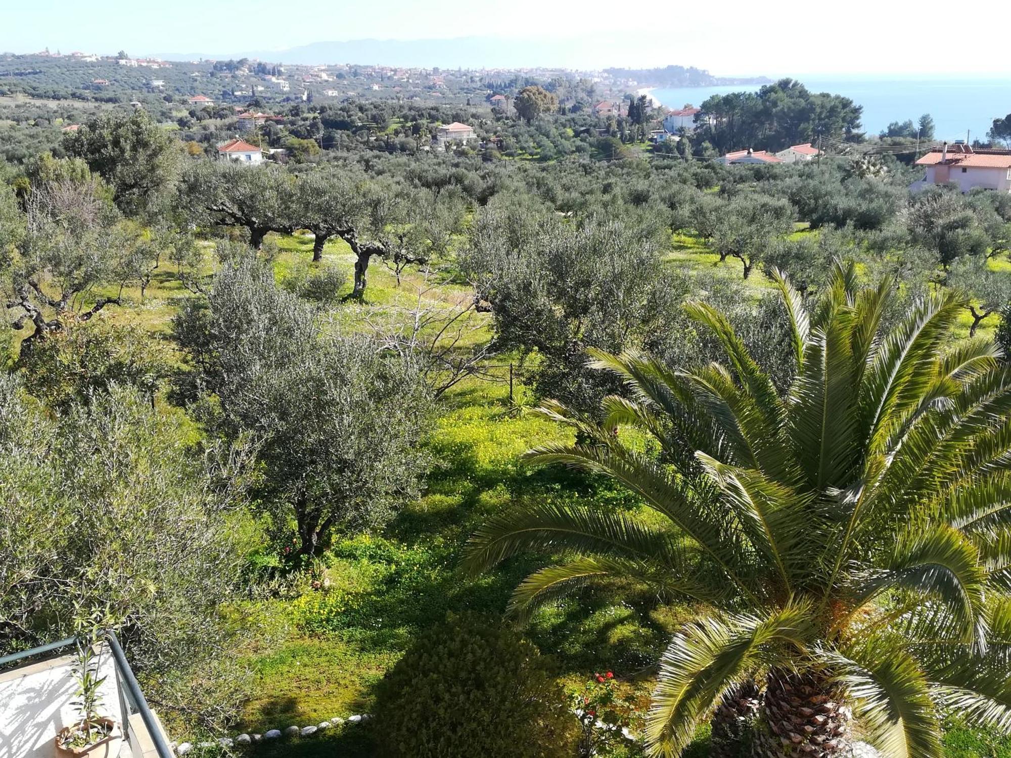 Villa Mariana Koroni  Exterior foto